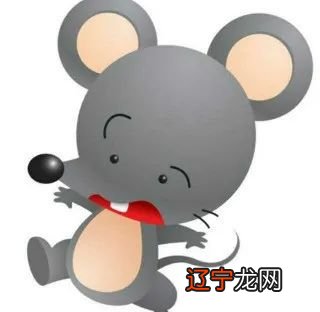 属鼠 属老鼠的年份及年龄表的在各个年份