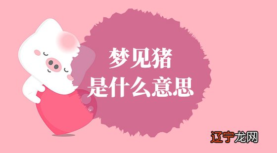 梦见卖红烧肉 慈世堂：本文是怎么解析猪梦的呢？
