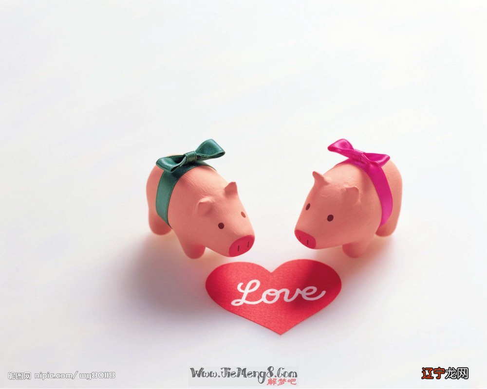 梦见卖红烧肉 慈世堂：本文是怎么解析猪梦的呢？