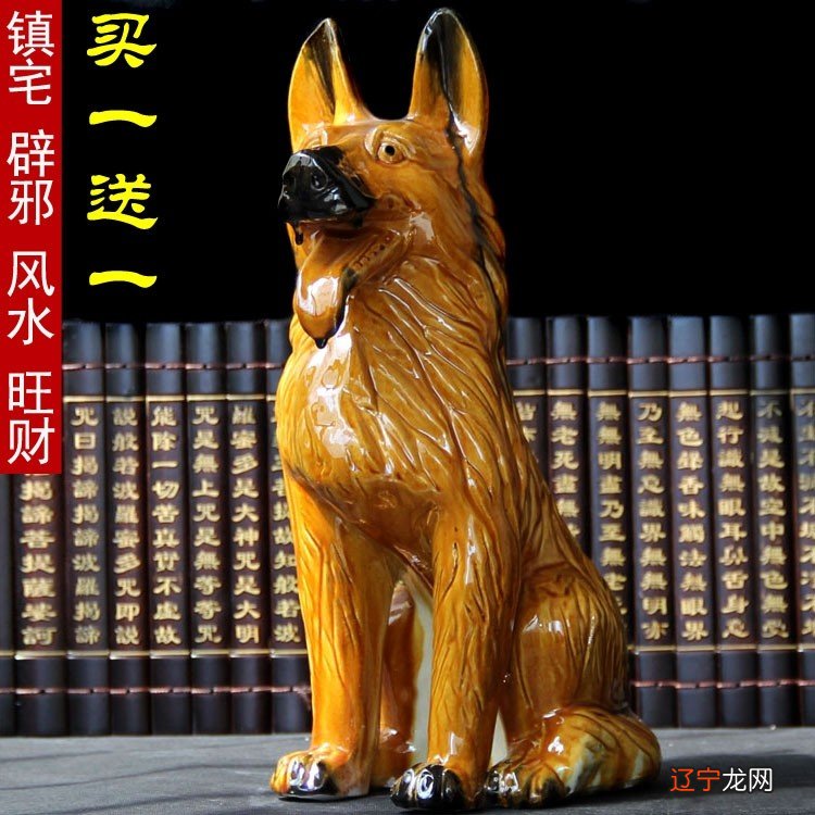 风水学家里养几只狗好?风水上没有养多少只狗好?