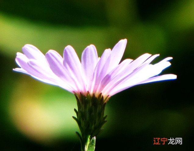 谢咏:八字中的灾祸是注定的吗?