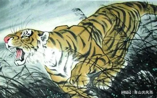 运气还差百分之一,努力却得不到爱情的生肖都有啥