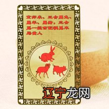 组图 一下属兔的和什么属相最配吧!