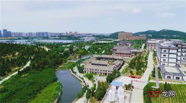 组图 “聚力提升城市软实力在扎实推进文化强市建设上开新局”