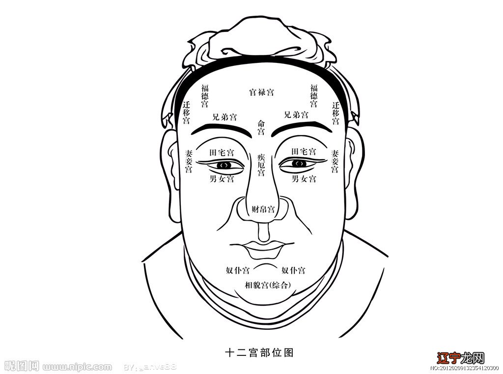 怎么看面相分析人的命运双鱼座和什么星座最般配