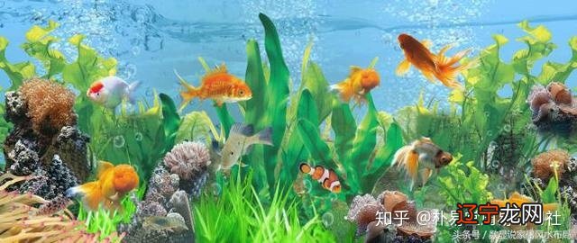 慈世堂：客厅鱼缸的风水禁忌及注意事项！