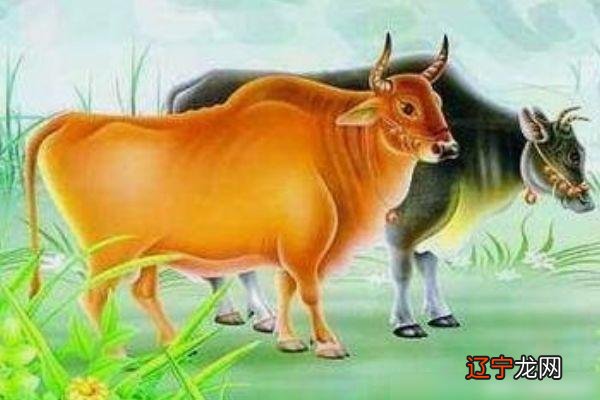 一 一下就是——1961年就是生肖牛年(组图)