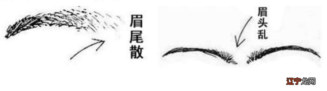 一下长有新月眉的人的性格有哪些？面相学上来分析