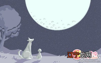 家居大象招财风水布局，招财象的摆放和作用！