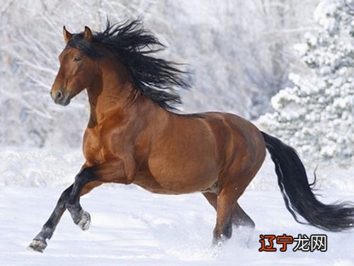 什么八字的人易做噩梦?八字人易讲究的是什么