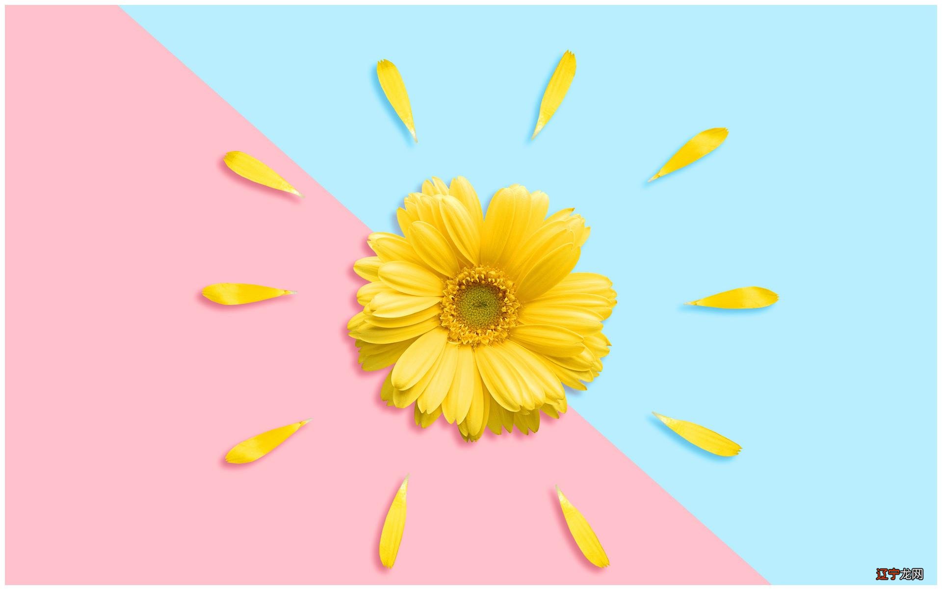 面相中代表不同年龄的部位看看自己人生里哪一阶段最称心如意