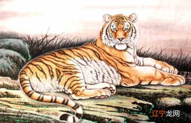 祝身体健康综合实力最强的生肖,哪个属相运势好?