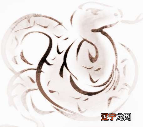 属蛇男人最应该找一个的三大生肖,有你吗?