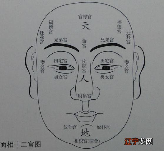 耳垂面相口诀_风水面相学口诀_命中100 面相口诀