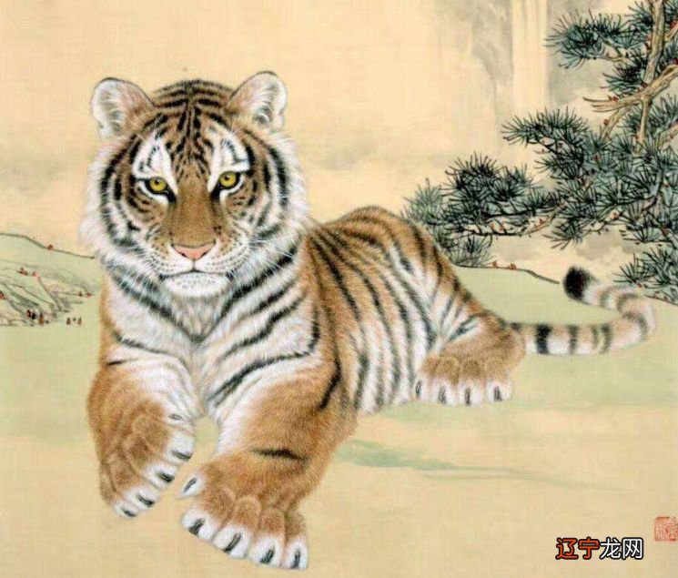 2022年是虎年,父母属虎孩子就不能“属虎”?