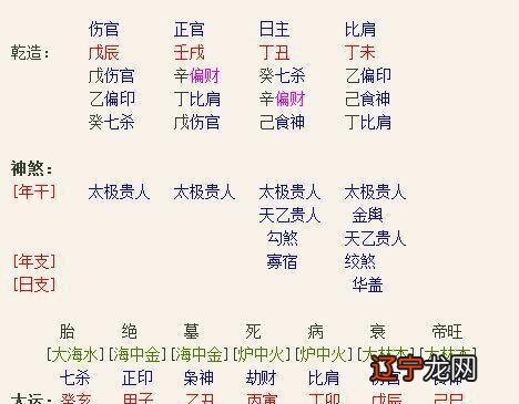 【李向东】伤官被视为不吉之物有成就的命理大师!