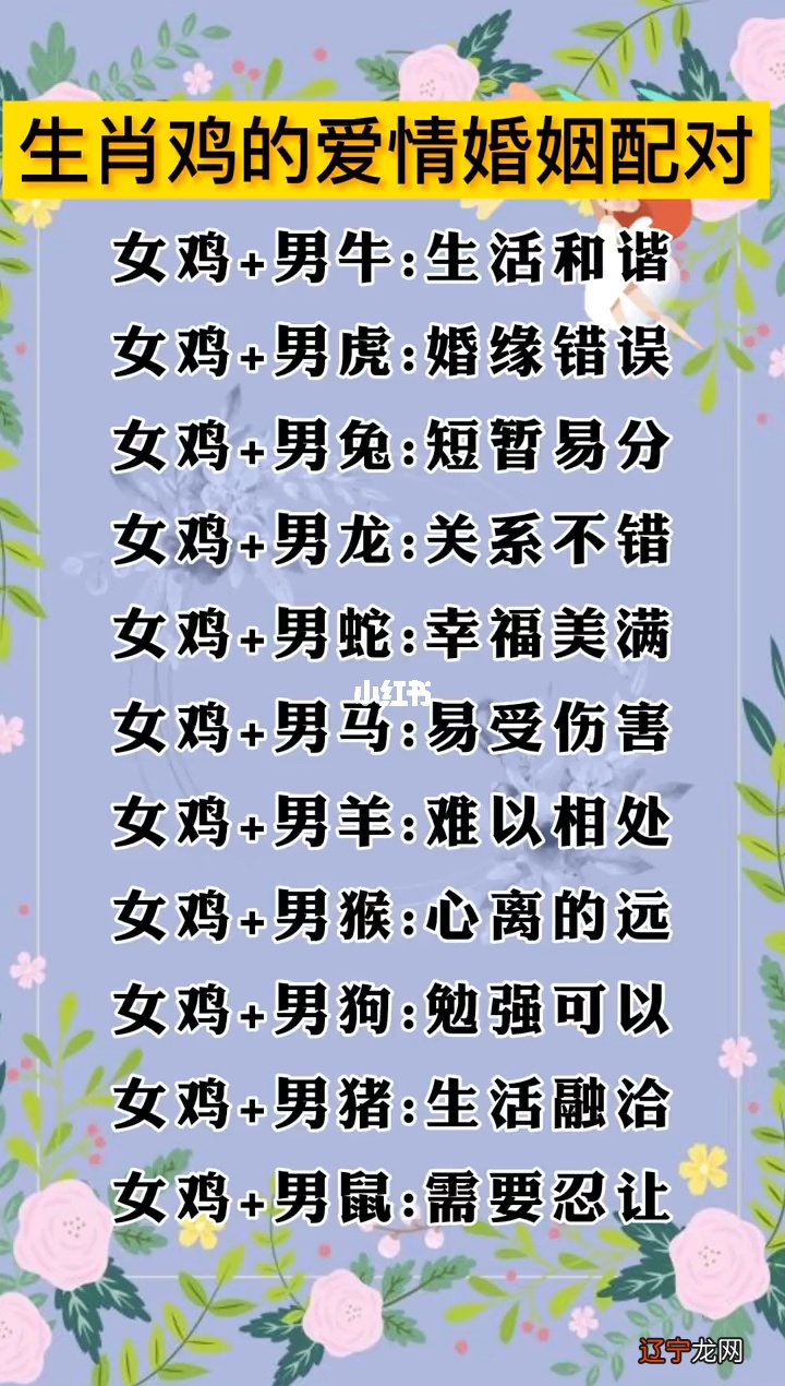 属兔与什么生肖配最合适，属相配对鸡和兔子好吗