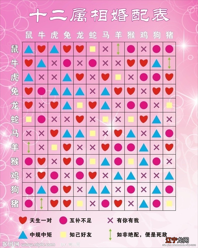 属兔与什么生肖配最合适，属相配对鸡和兔子好吗