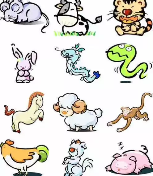 属兔与什么生肖配最合适，属相配对鸡和兔子好吗