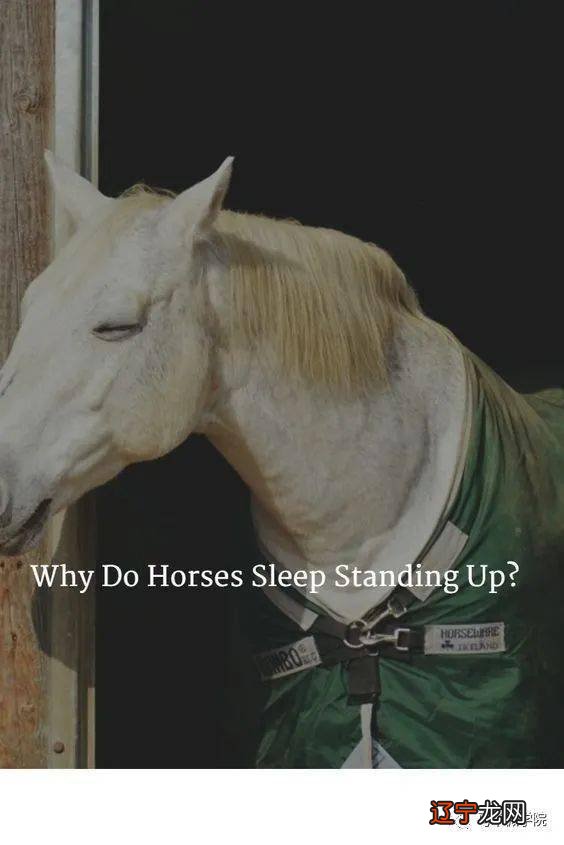 风水堂:容易做噩梦的八字特征