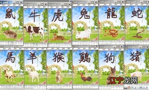 2012年属什么生肖五行属什么_五行属金生肖属猪的吉字?_今年73岁五行属什么生肖