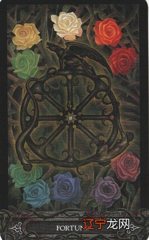 塔罗占卜他的真实想法他有喜欢我吗？|一起专栏