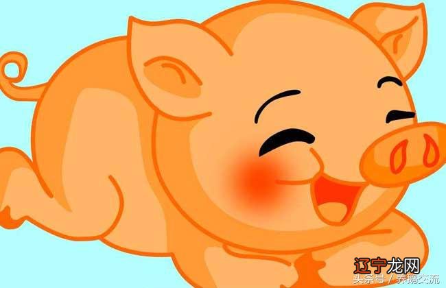 属猪的男人属相婚配表女鼠美满的女人属相表