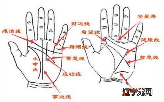 手掌纹路多且杂乱，不一定命运曲折