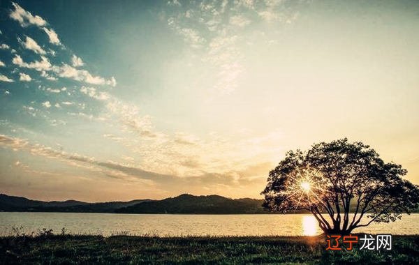 倾国倾城风水堂:倾国倾城人的八字带日禄