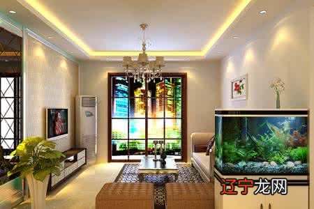 慈世堂:家中养鱼必知的风水禁忌和如何养鱼