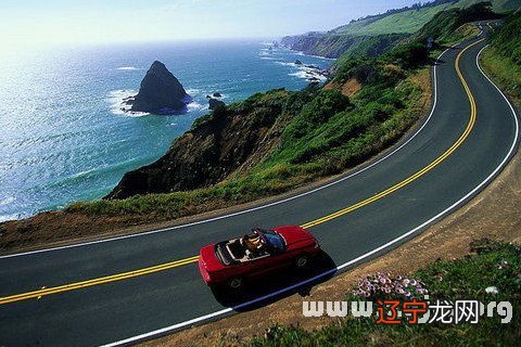 孕妇梦见一片绿草地_舟山香樟树广场舞梦中有片绿草地_梦见壁绿草地