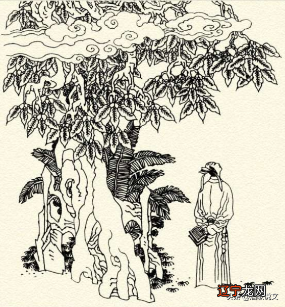 故事：黄承彦算卦找女婿，诸葛亮藏蛤蟆，你猜是死还是活