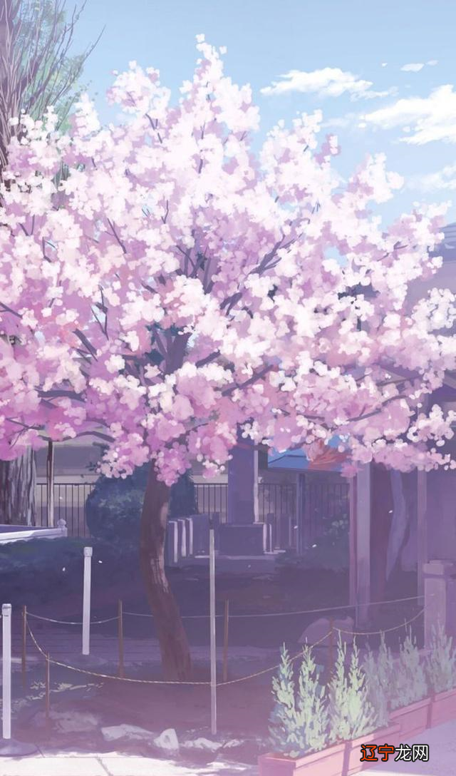 星座火象_星座风象火象水象土星_狮子座是火象星座