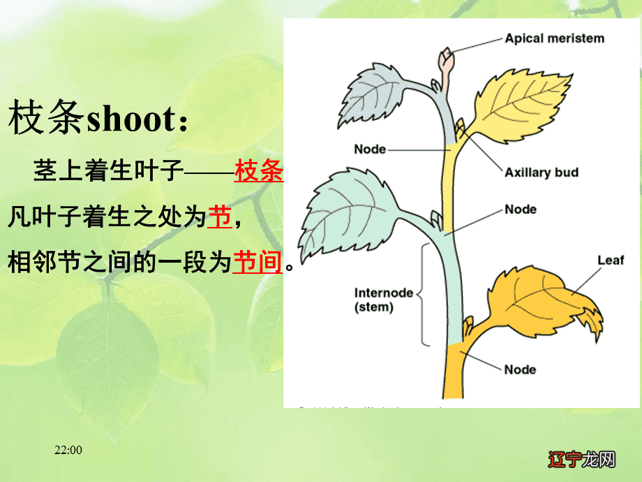 风水堂:干支之象的运用与运用