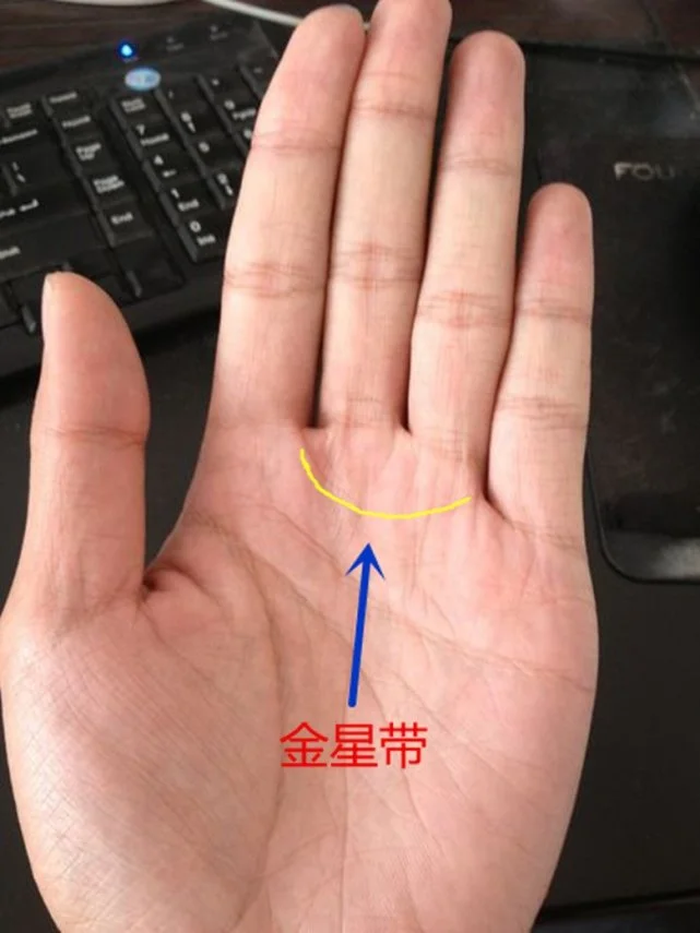 什么是手相金星线金星带算命以上就是算命