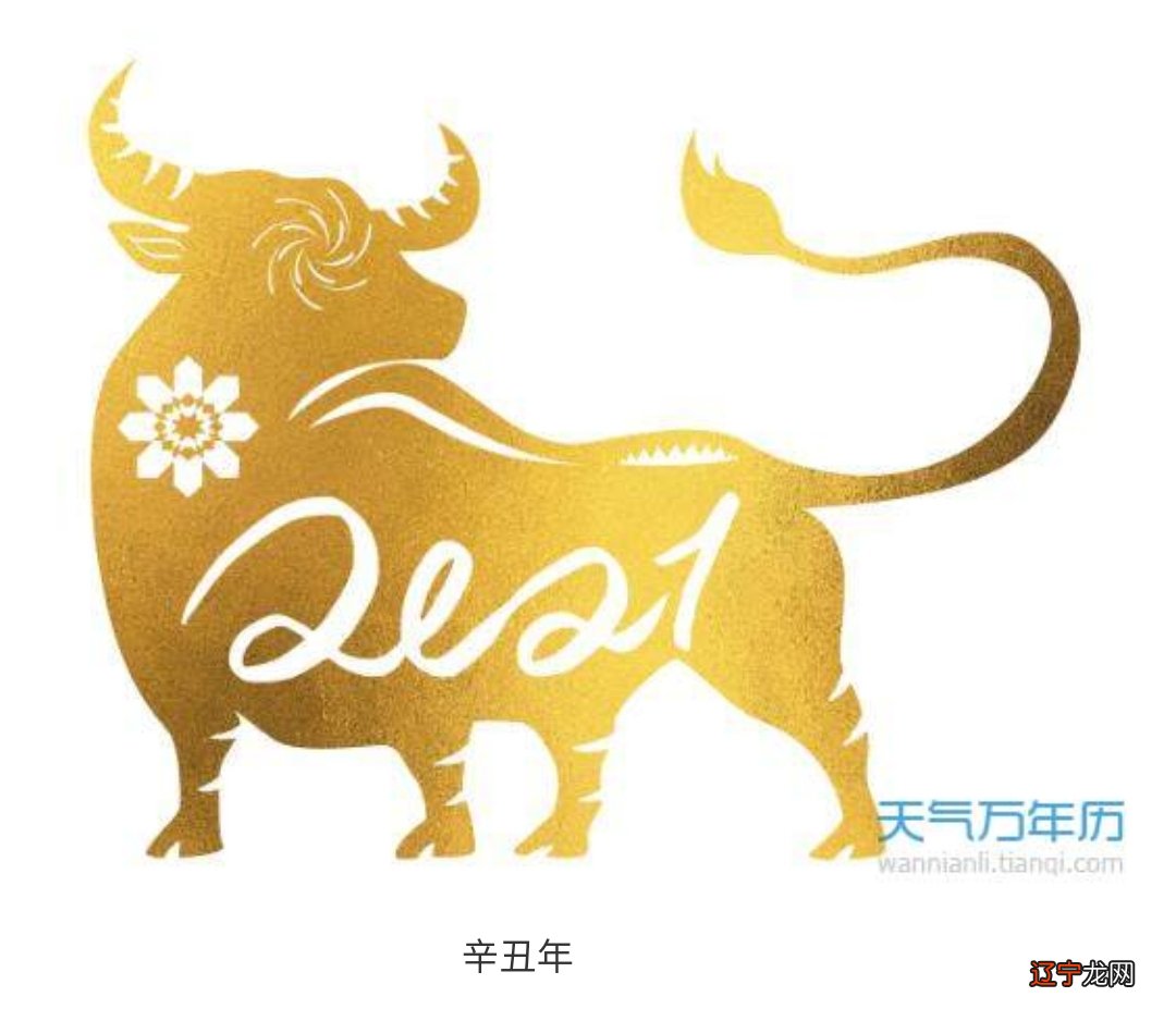 2021年属牛吉利名字女孩起名小技巧给你