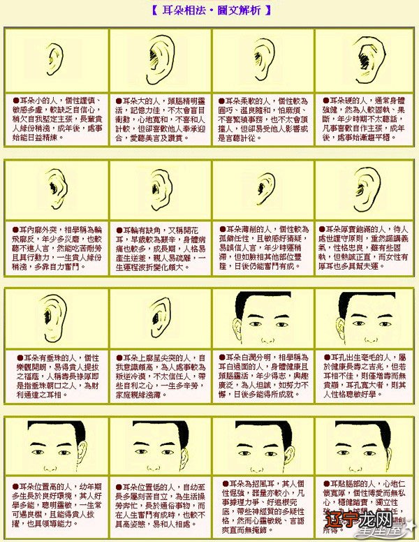 诚实是最好的政策——看面相算命哪种人