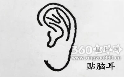 诚实是最好的政策——看面相算命哪种人