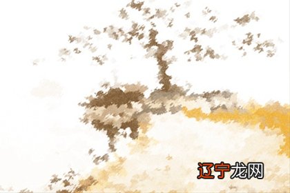 十二星座结婚对象统计最新又到了一年一度的新春佳节了