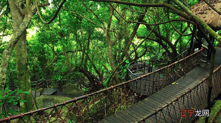 海南热带雨林生态旅游发展现状及对策研究？？|？F2文献