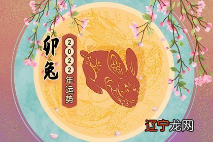 生肖兔的贵人属相_属猪的贵人是什么生肖_2019属兔的贵人是什么生肖