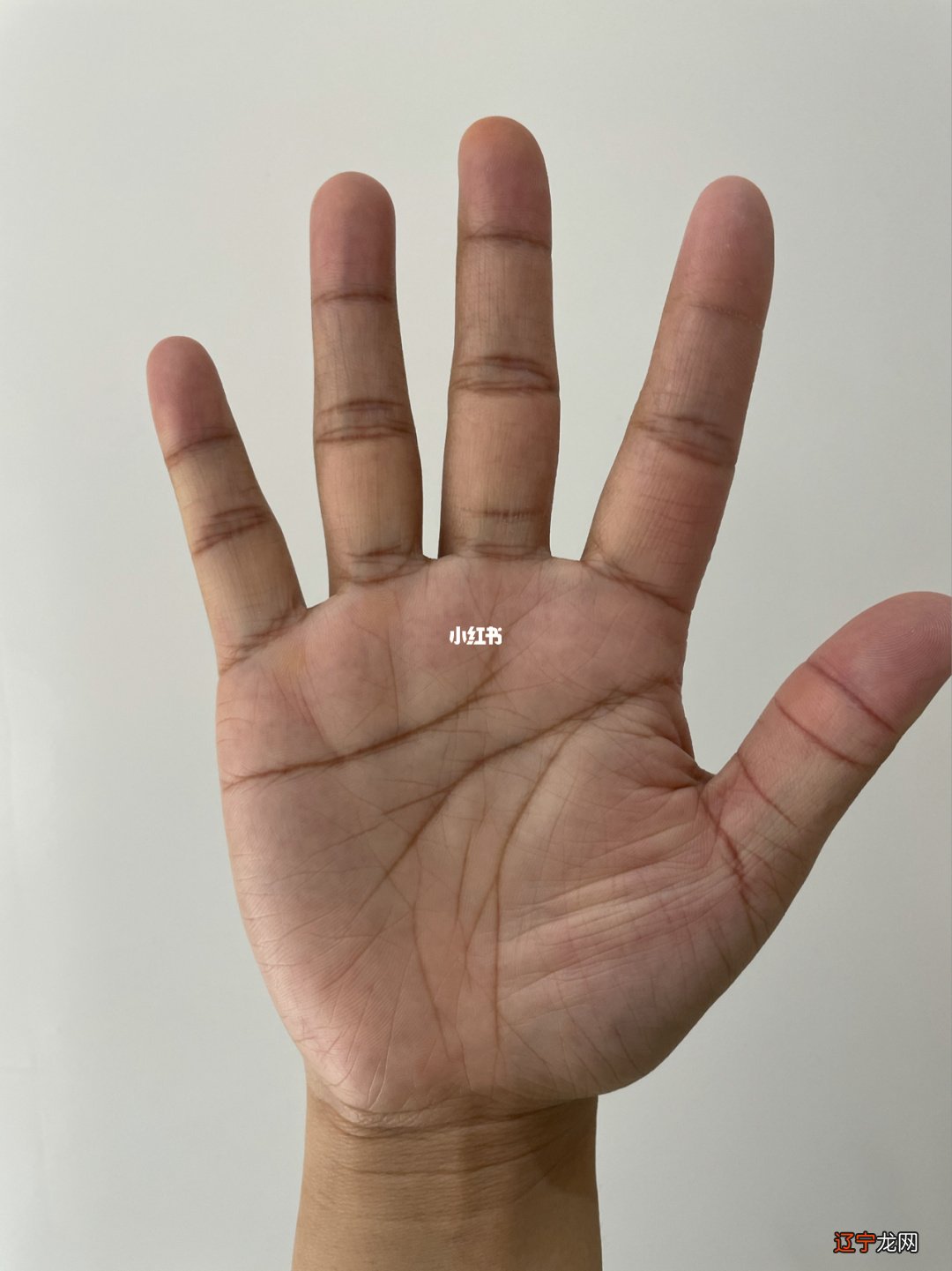 手掌纹路看命运图_手掌纹路看运势_手掌纹路生命线图解