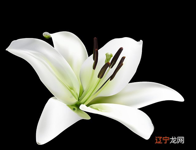 风水堂:四柱八字用神取用秘诀怎么样