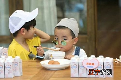 属鼠人2019年运势详解:2019生肖为猪年?