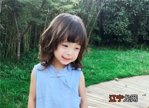 属鼠人2019年运势详解：2019生肖为猪年?