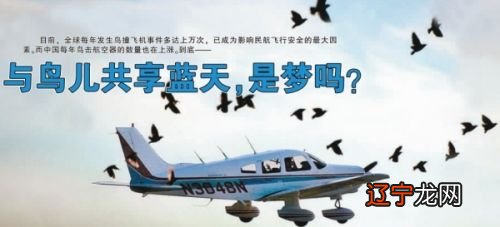 外一首 王槐:飞机在天上飞(图)