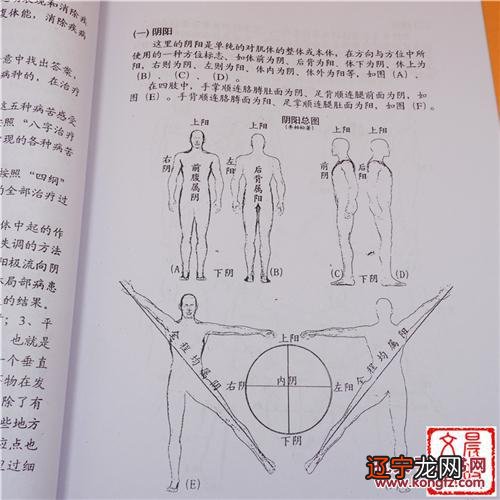 民国神童 民国算命大师林庚白八字杨森批八字新浪