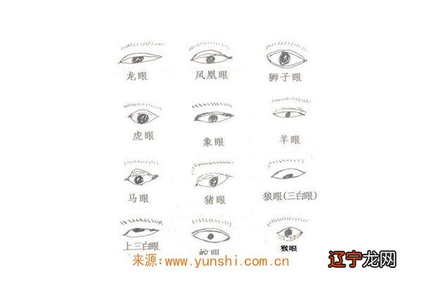 风水堂:天生有着夫妻相的面相