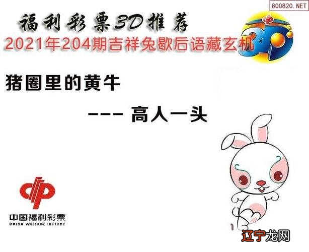 属兔人2020年运势运程每月运程及破解非常运势