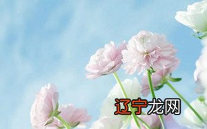 你想按照生辰八字算命吗?你知道如何用生辰八字吗